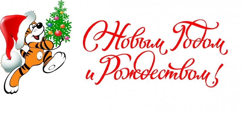 НОВОГОДНИЕ КАНИКУЛЫ 2022
