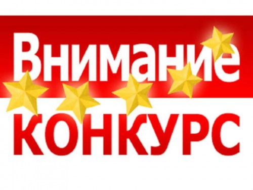 Участие в конкурсе «Мастер года»