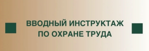 ВВОДНЫЙ ИНСТРУКТАЖ ПО ОХРАНЕ ТРУДА И ТЕХНИКИ БЕЗОПАСНОСТИ