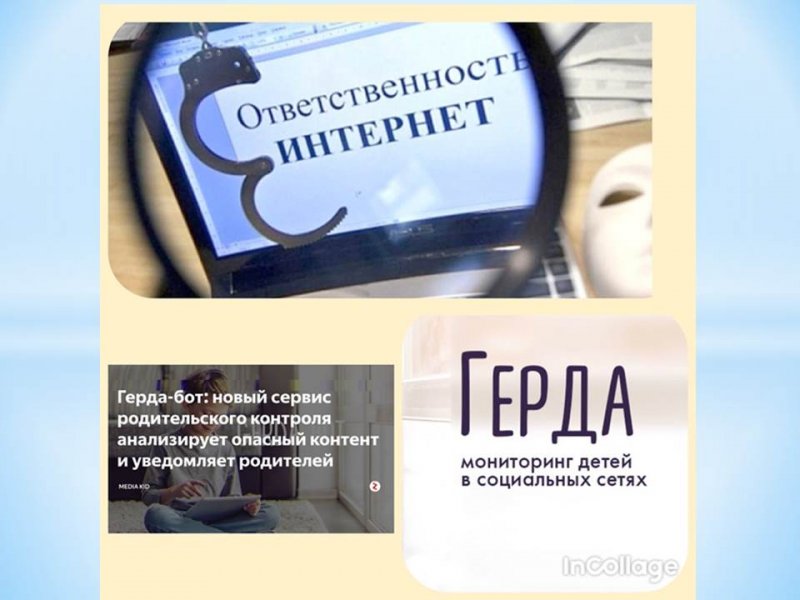 Мониторинг в программе Герда-бот
